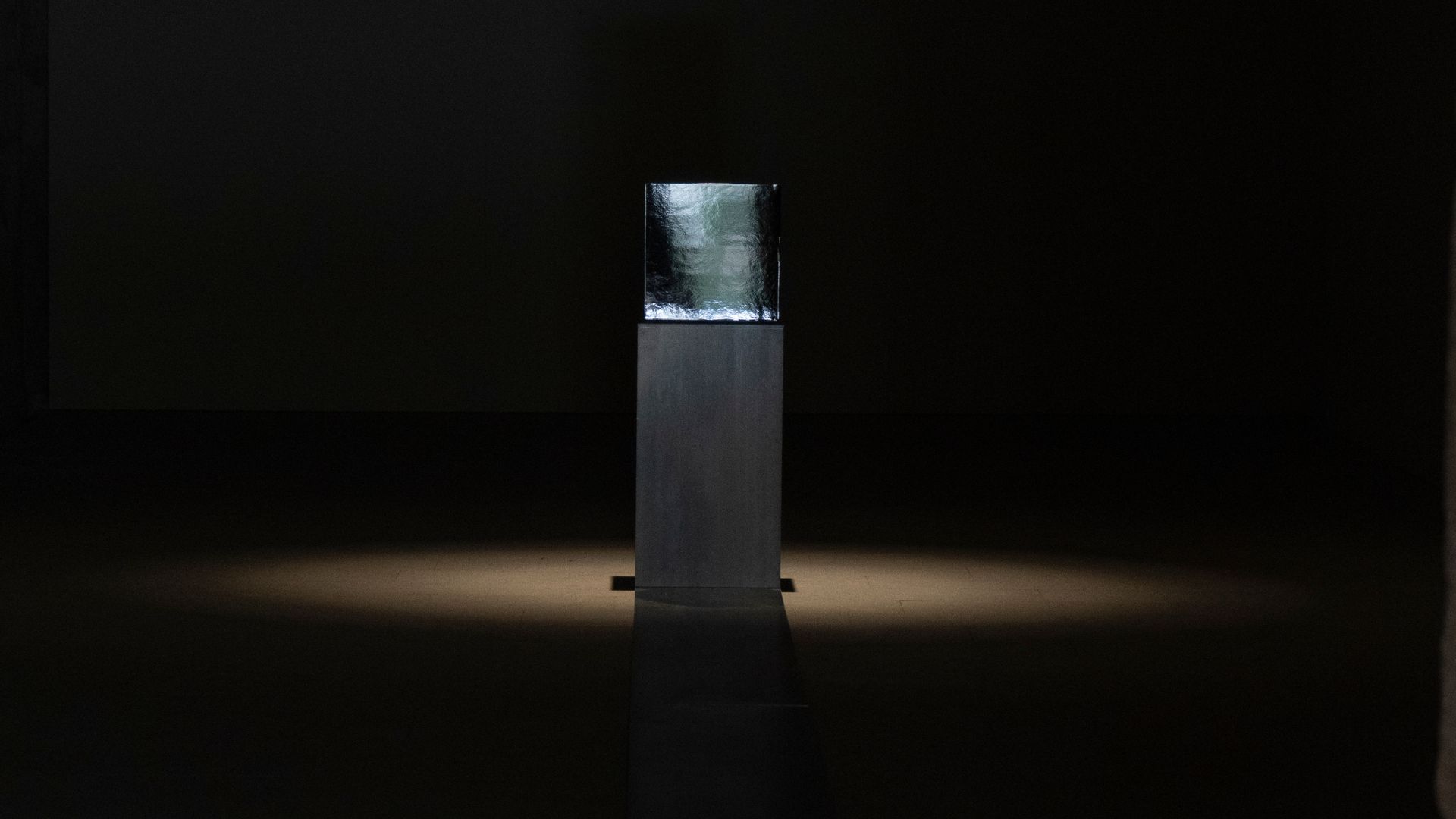 fondo pantalla tempss-2